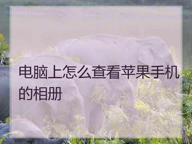 电脑上怎么查看苹果手机的相册