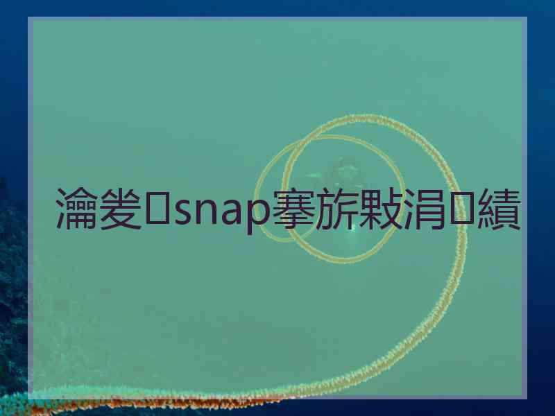 瀹夎snap搴旂敤涓績