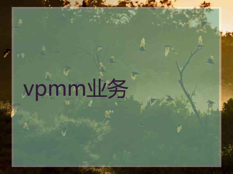 vpmm业务