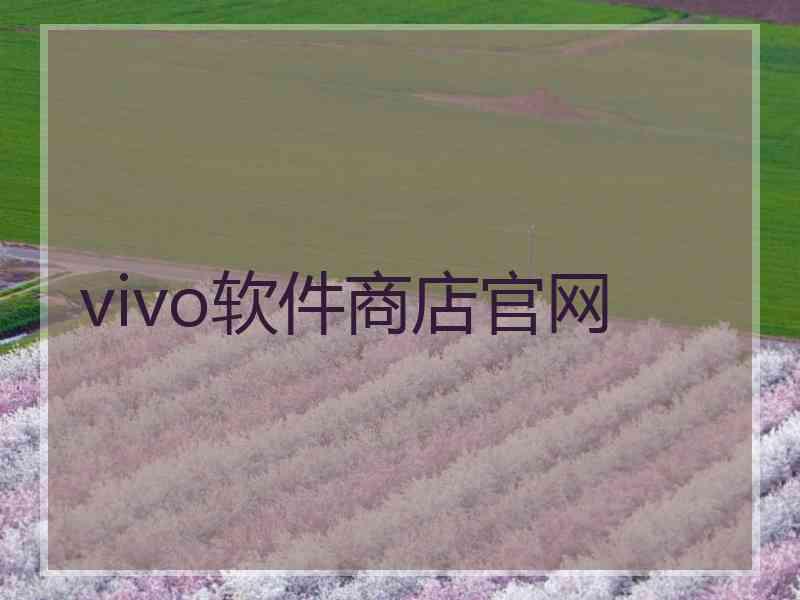 vivo软件商店官网