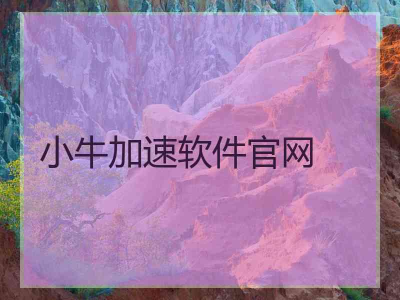 小牛加速软件官网