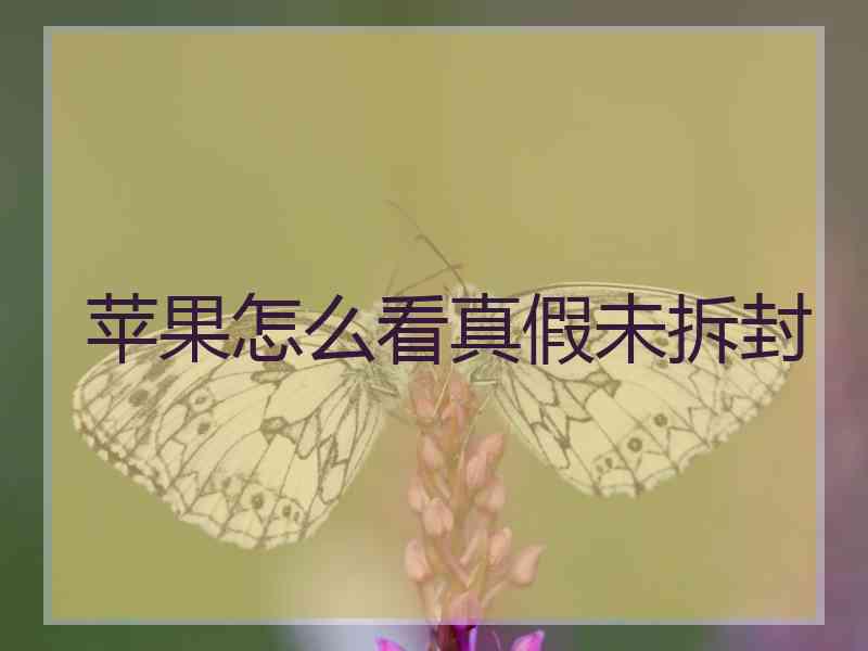 苹果怎么看真假未拆封