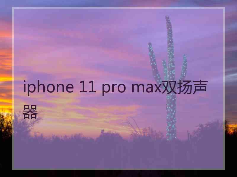 iphone 11 pro max双扬声器