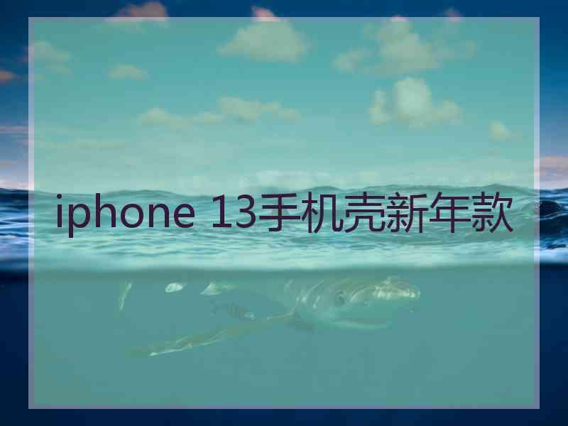 iphone 13手机壳新年款