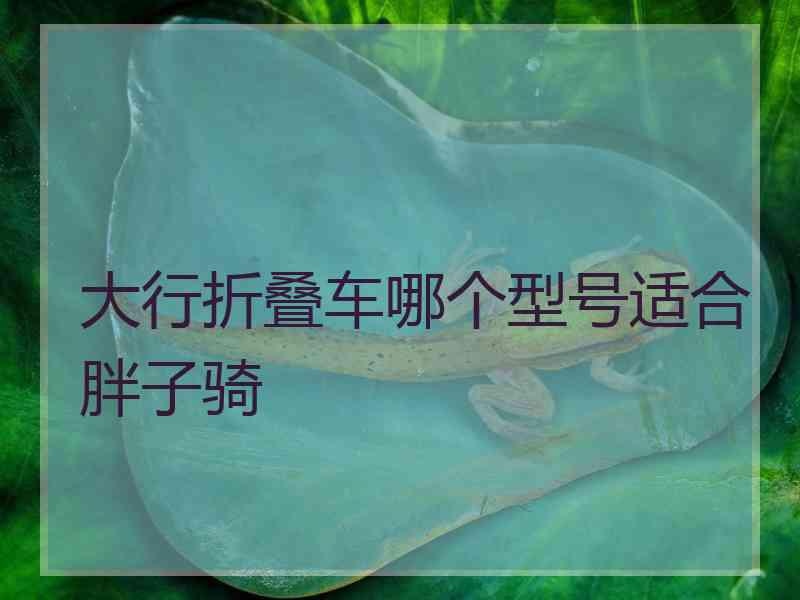 大行折叠车哪个型号适合胖子骑