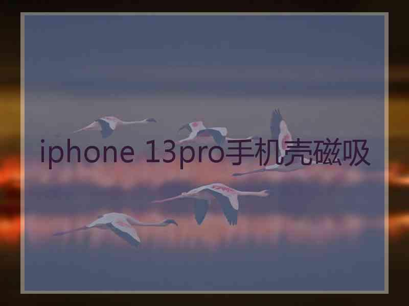 iphone 13pro手机壳磁吸