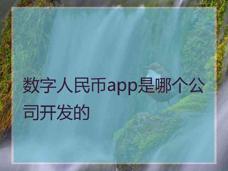 数字人民币app是哪个公司开发的