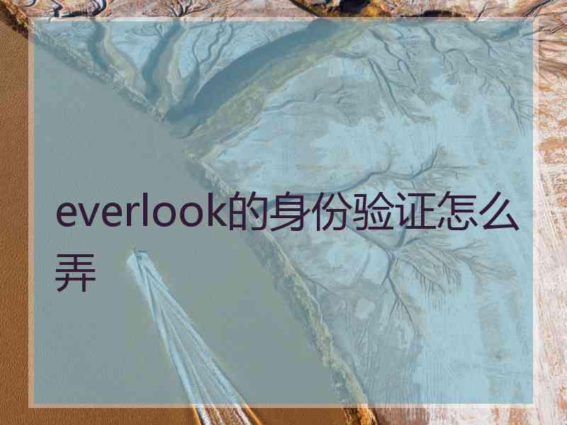 everlook的身份验证怎么弄