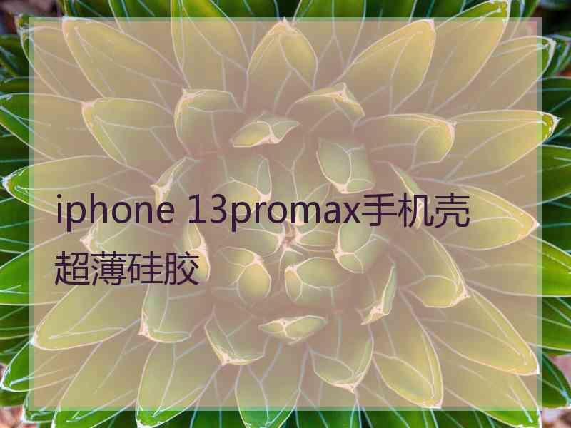 iphone 13promax手机壳超薄硅胶