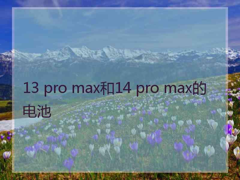 13 pro max和14 pro max的电池