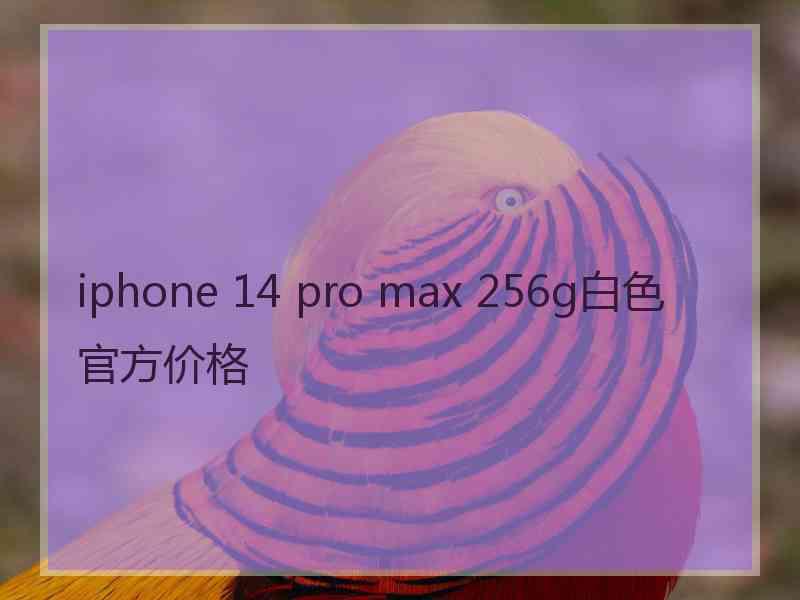 iphone 14 pro max 256g白色官方价格