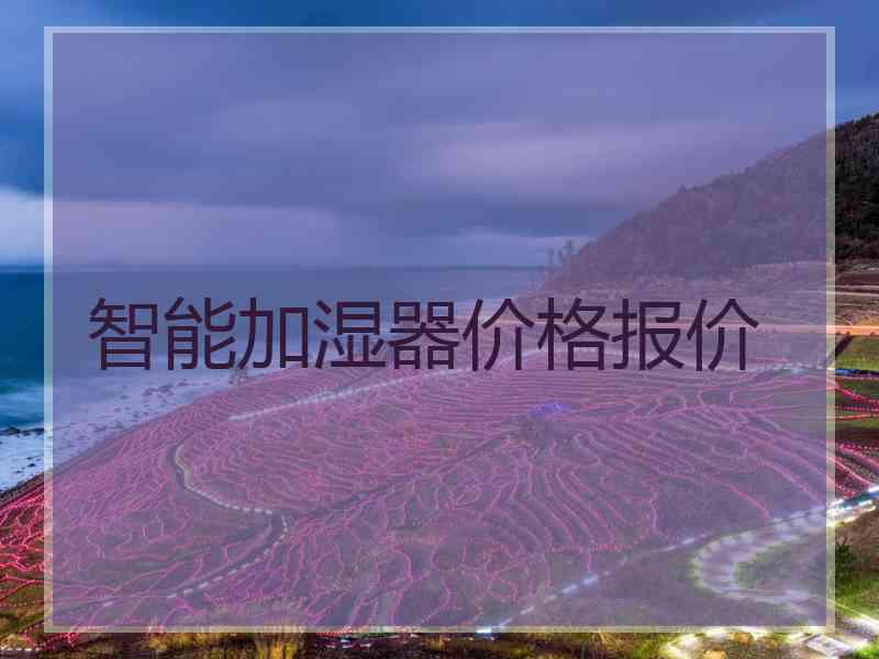 智能加湿器价格报价