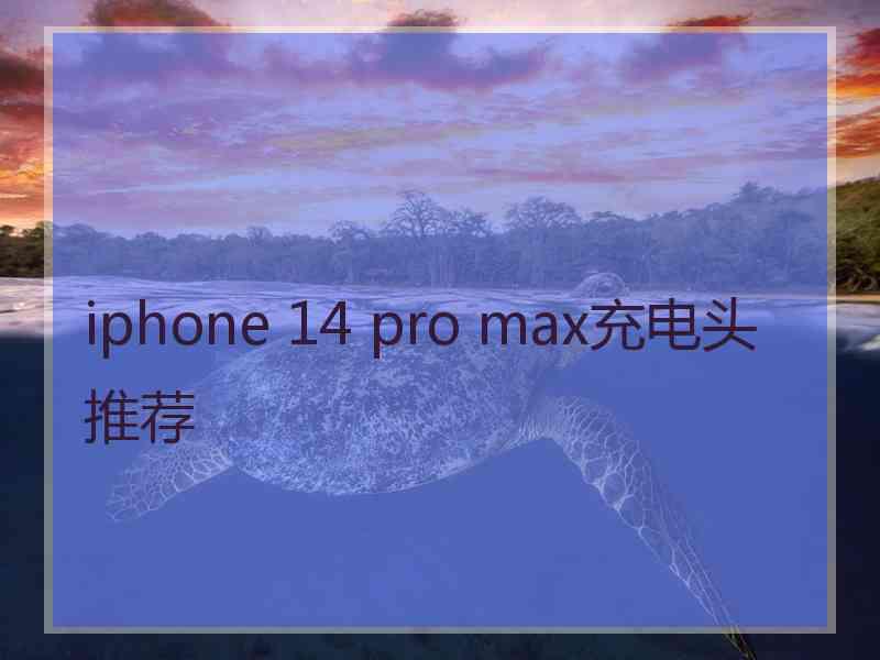 iphone 14 pro max充电头推荐