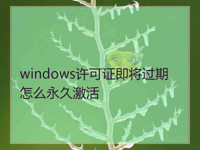 windows许可证即将过期怎么永久激活