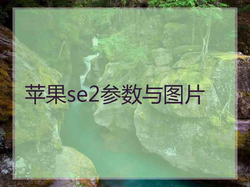 苹果se2参数与图片