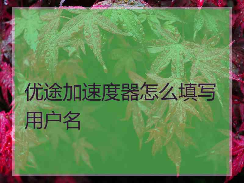 优途加速度器怎么填写用户名