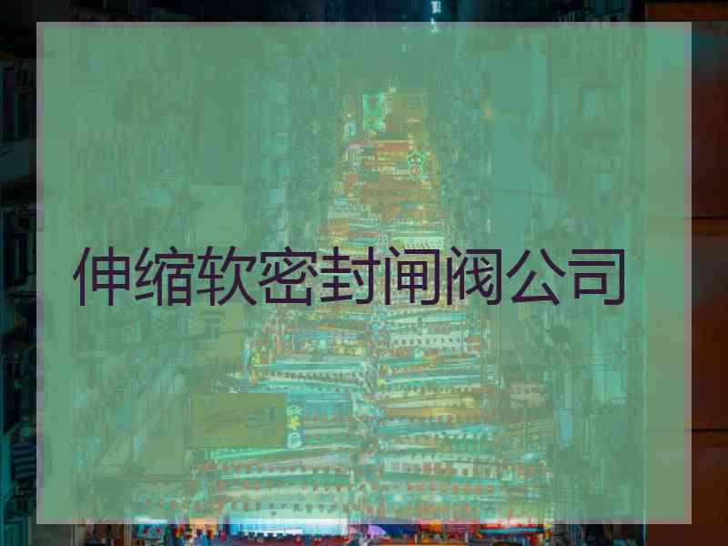 伸缩软密封闸阀公司