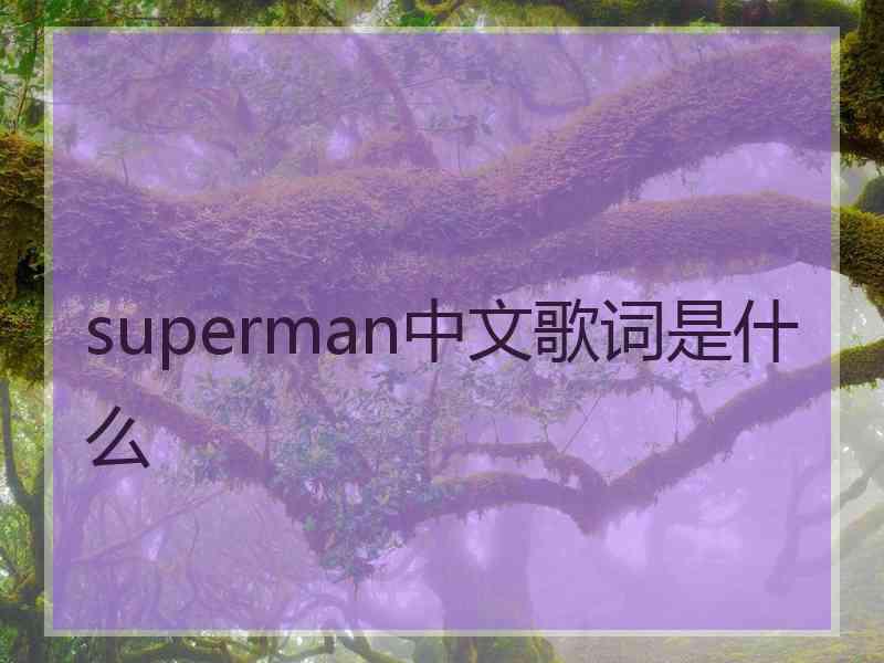 superman中文歌词是什么