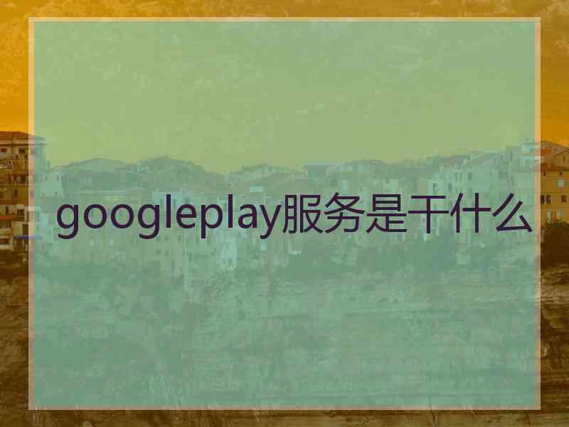 googleplay服务是干什么