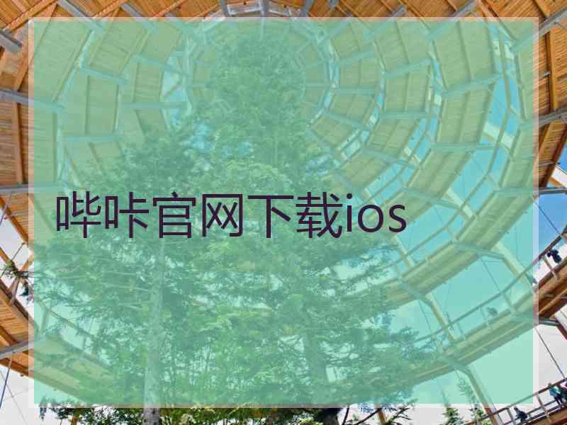 哔咔官网下载ios