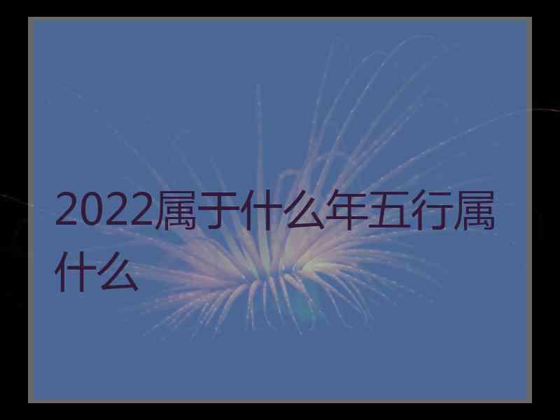 2022属于什么年五行属什么