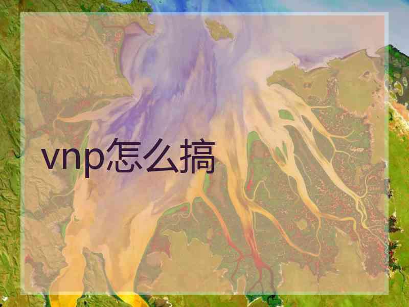 vnp怎么搞