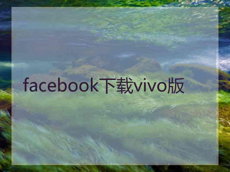 facebook下载vivo版