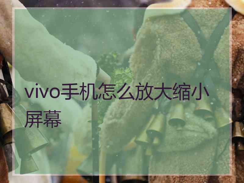 vivo手机怎么放大缩小屏幕