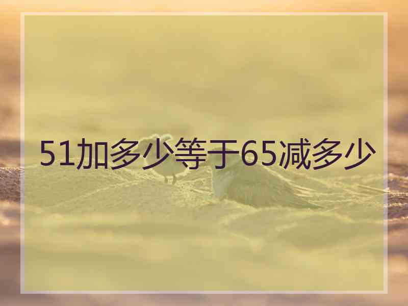 51加多少等于65减多少