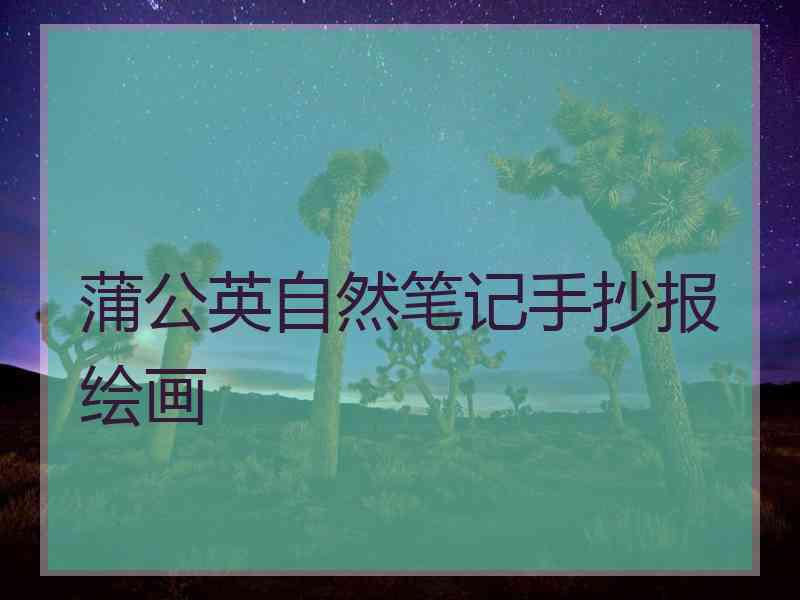 蒲公英自然笔记手抄报绘画