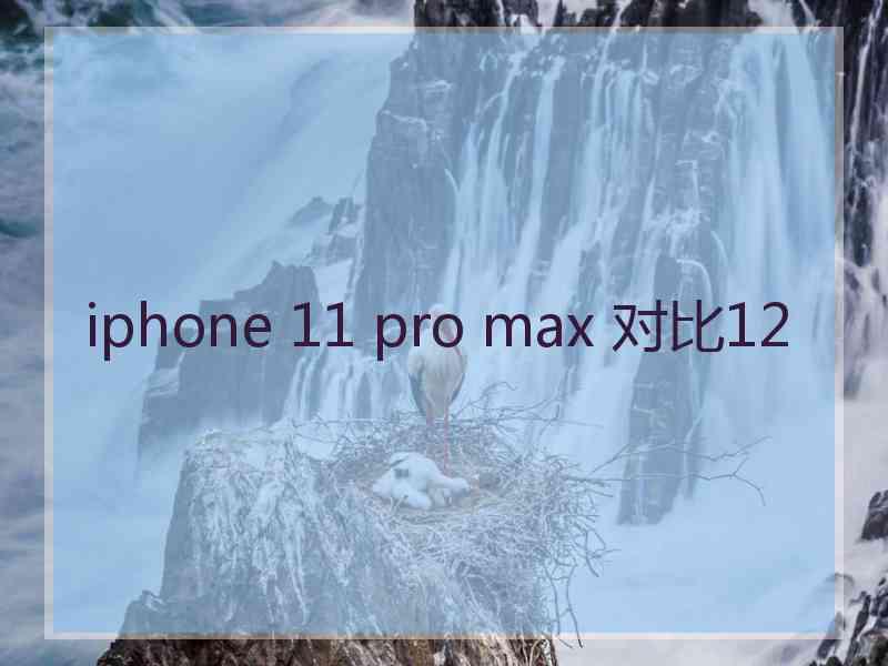 iphone 11 pro max 对比12