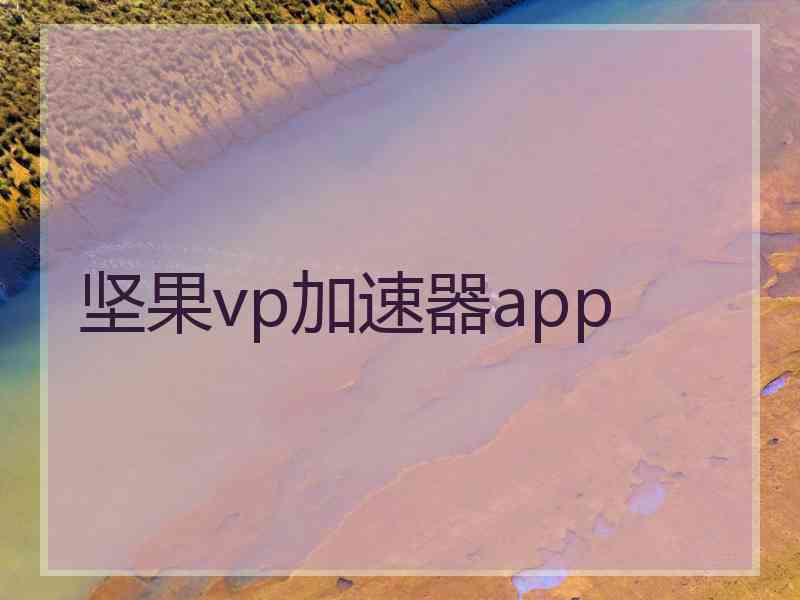 坚果vp加速器app