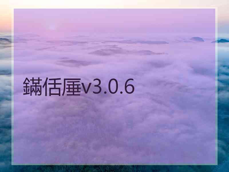 鏋佸厜v3.0.6