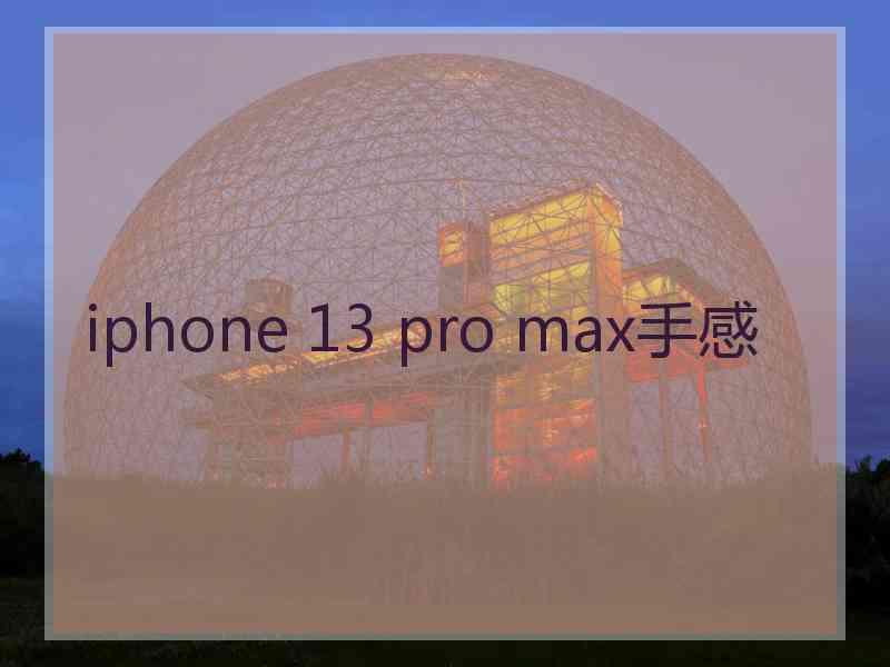 iphone 13 pro max手感