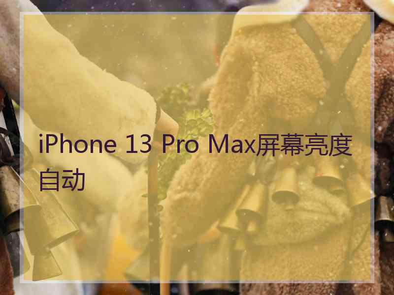 iPhone 13 Pro Max屏幕亮度自动