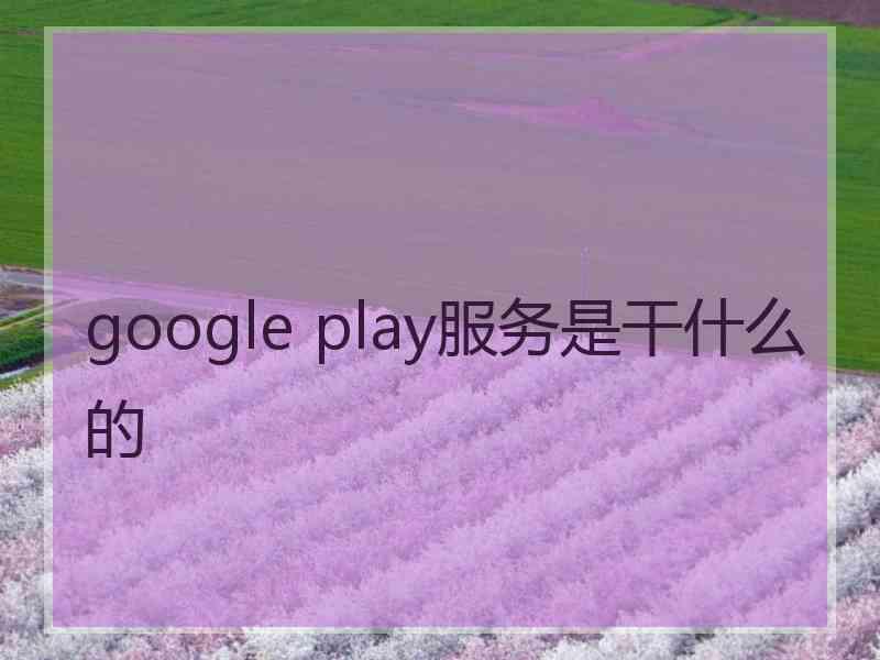 google play服务是干什么的