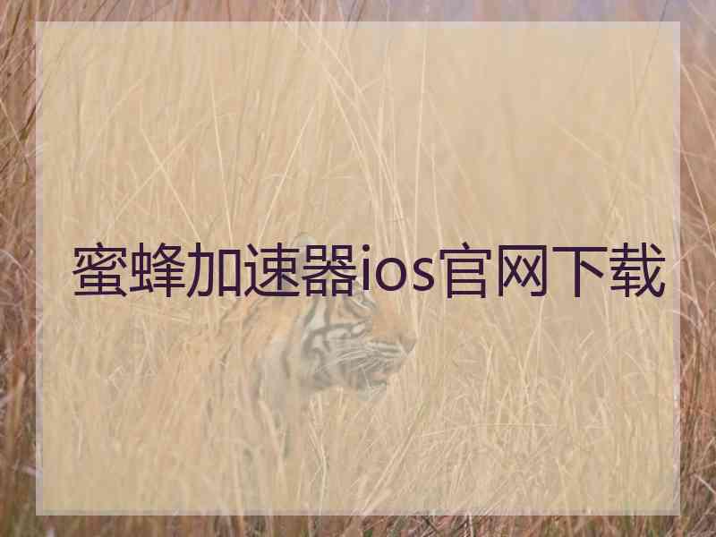 蜜蜂加速器ios官网下载