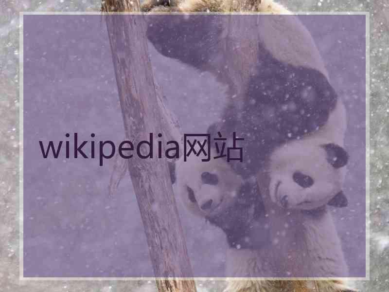 wikipedia网站