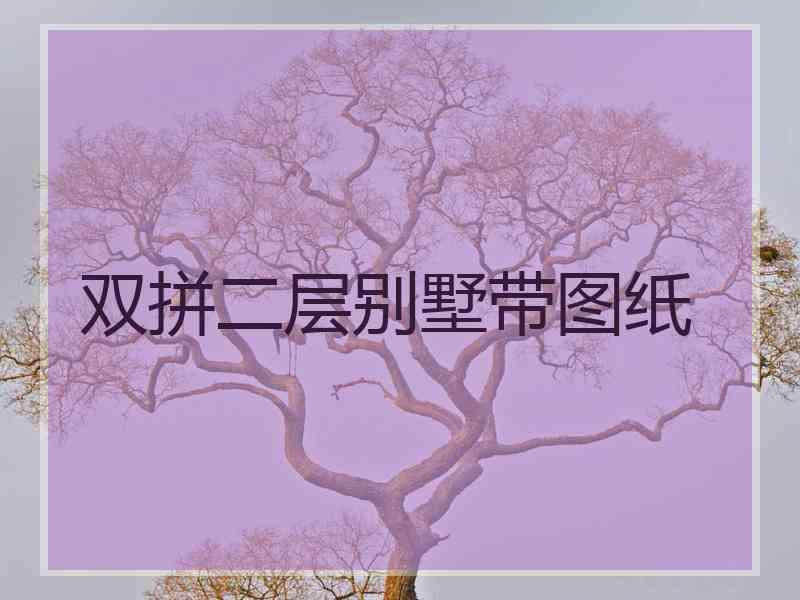 双拼二层别墅带图纸