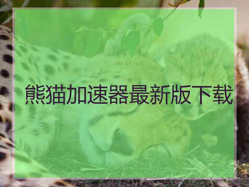 熊猫加速器最新版下载