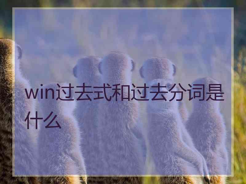 win过去式和过去分词是什么