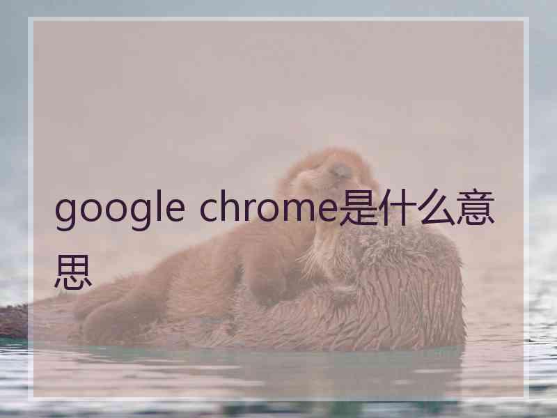 google chrome是什么意思