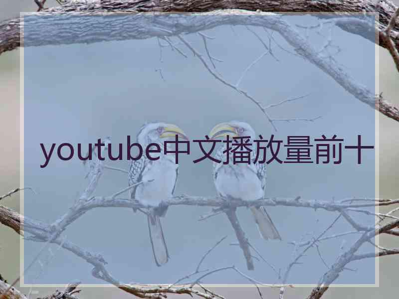 youtube中文播放量前十