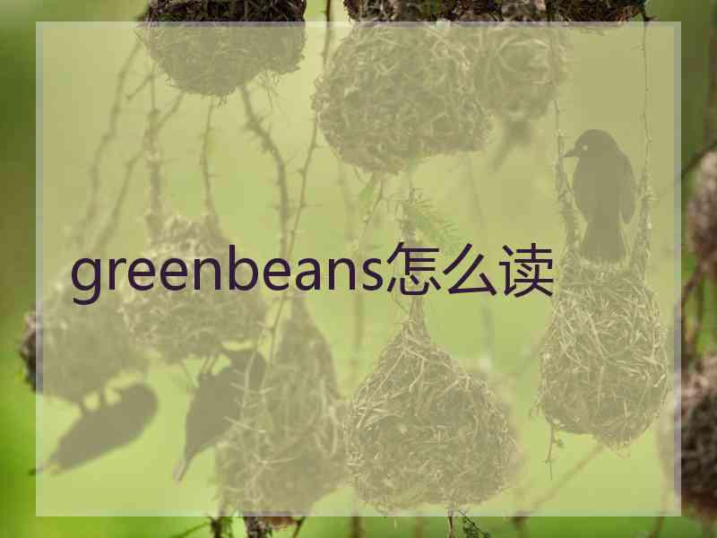 greenbeans怎么读