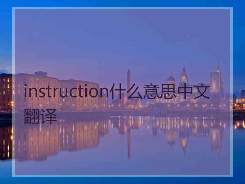 instruction什么意思中文翻译