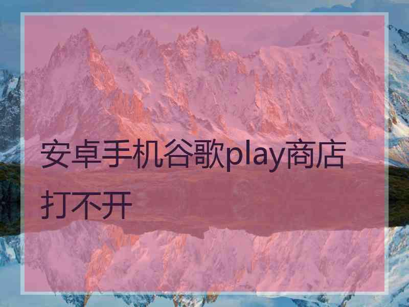 安卓手机谷歌play商店打不开