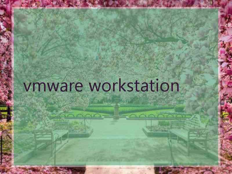 vmware workstation