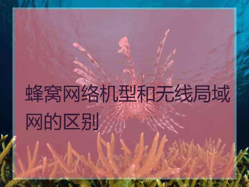 蜂窝网络机型和无线局域网的区别