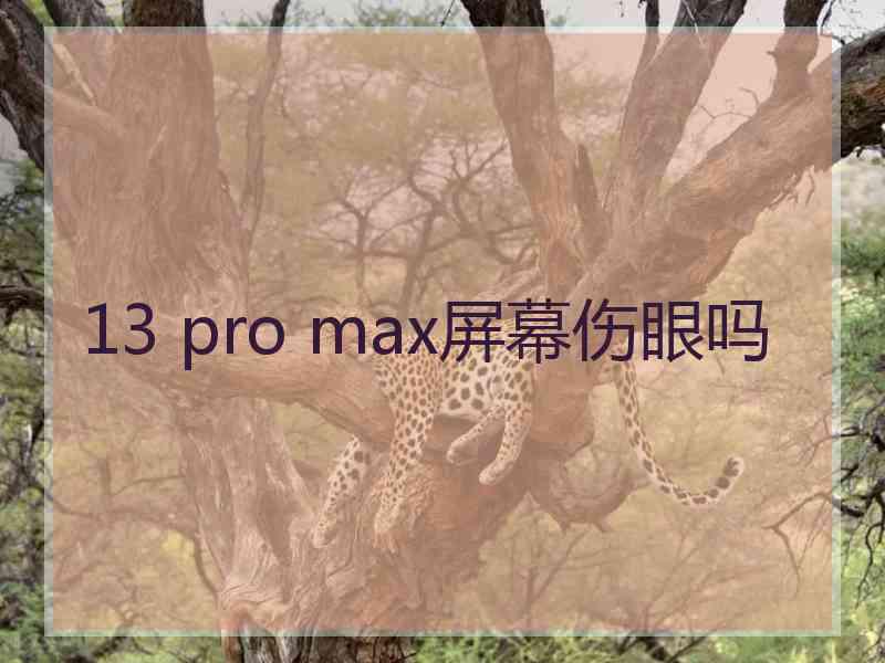 13 pro max屏幕伤眼吗