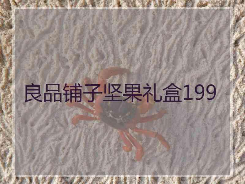 良品铺子坚果礼盒199